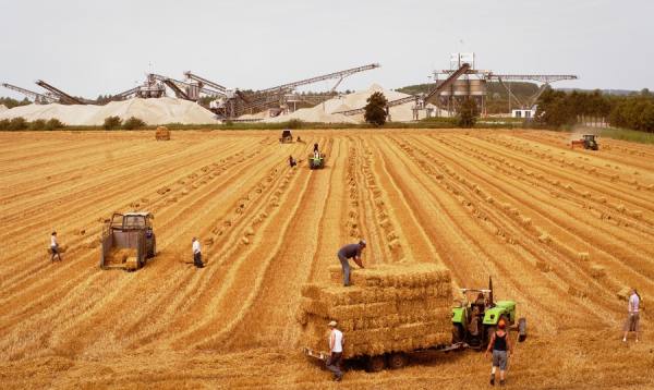 Photograph Jean-paul Opperman  Harvest Season on One Eyeland